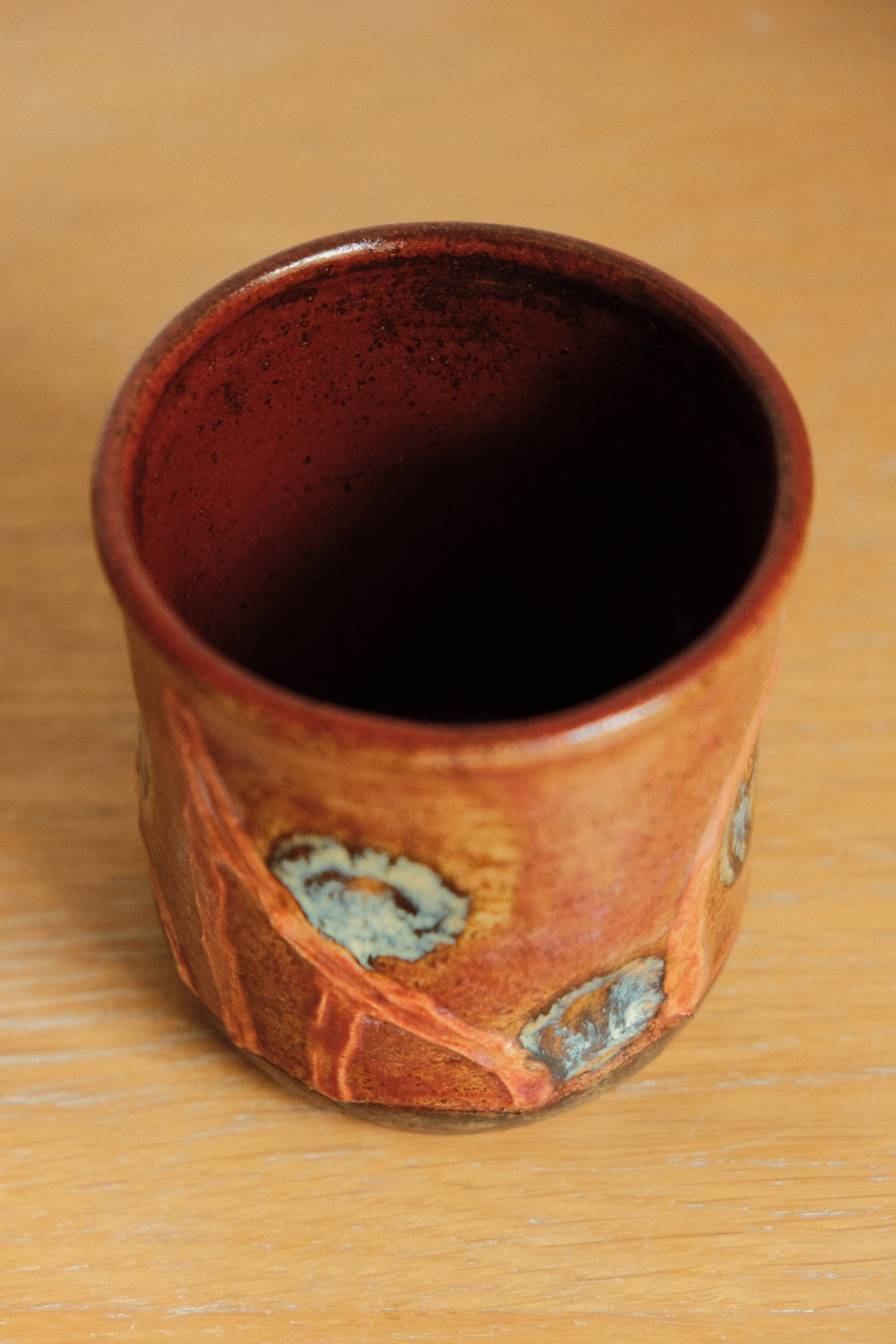 Red Spotted Moth Cup